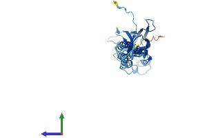 Protein Structure (PS) image for Transmembrane Protein 231 (TMEM231) (AA 1-316) protein (His tag) (ABIN7544452)
