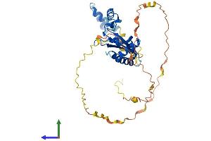 AlphaFold protein structure predicition of Human Recombinant KHDRBS2 Protein, UniprotID Q5VWX1