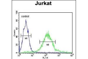 GPRASP1 Antibody (C-term) (ABIN652013 and ABIN2840496) flow cytometric analysis of Jurkat cells (right histogram) compared to a negative control cell (left histogram). (GPRASP1 antibody  (C-Term))