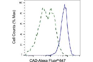 Validation of CAD knockdown using flow cytometry. (Recombinant CAD antibody)