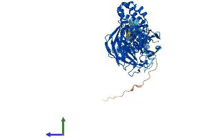 AlphaFold protein structure predicition of Human Recombinant KLHL35 Protein, UniprotID Q6PF15