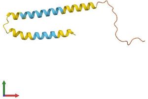 AlphaFold protein structure predicition of Human Recombinant LINC00312 Protein, UniprotID Q9Y6C7 (LINC00312 Protein (AA 1-94) (His tag))