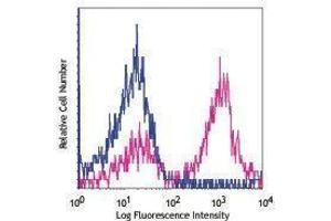 Flow Cytometry (FACS) image for anti-CD24 Molecule (CD24) antibody (PE) (ABIN2662555) (CD24 antibody  (PE))