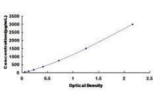 Typical standard curve (ERK2 ELISA Kit)