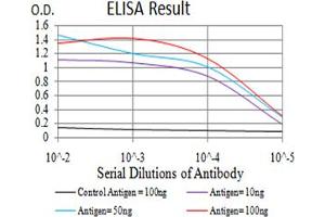 Fig. (TLR9 antibody  (AA 868-1016))