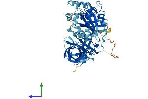 AlphaFold protein structure predicition of Human Recombinant GSPT1 Protein, UniprotID P15170