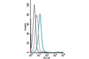 Cell surface detection of GPR4 by direct flow cytometry in live intact human  monocytic leukemia cells: + Rabbit IgG Isotype Control-FITC (ABIN7582044). (GPR4 antibody  (Extracellular) (FITC))