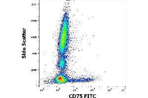 Flow cytometry surface staining pattern of human peripheral whole blood stained using anti-human CD75 (LN1) PE antibody (4 μL reagent / 100 μL of peripheral whole blood). (ST6GAL1 antibody  (FITC))