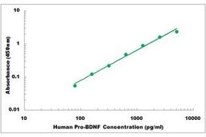 Representative Standard Curve