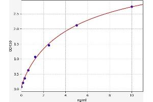 MGST1 ELISA Kit