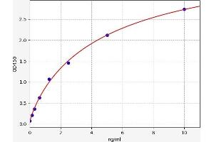 Typical standard curve (MGST1 ELISA Kit)