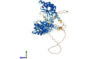 AlphaFold protein structure predicition of Mouse Recombinant Igf2bp2 Protein, UniprotID Q5SF07