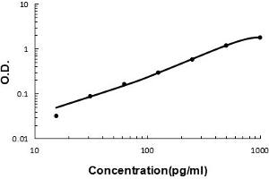 Sandwich ELISA - Recombinant human CXCL7 protein standard curve.