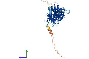 AlphaFold protein structure predicition of Human Recombinant VPS26A Protein, UniprotID O75436
