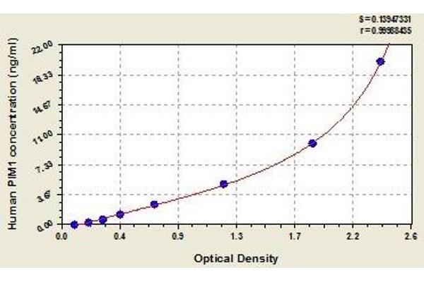 PIM1 ELISA Kit
