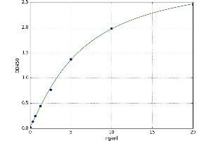 Annexin A3 (ANXA3) ELISA Kit