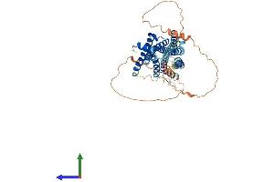 AlphaFold protein structure predicition of Mouse Recombinant Hrh1 Protein, UniprotID P70174 (HRH1 Protein (AA 1-488) (His tag))