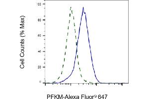 Validation of PFKM knockdown using flow cytometry.