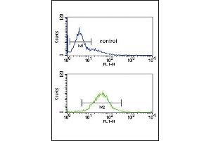 HIF1A Antibody (ABIN651073 and ABIN2840060) flow cytometric analysis of K562 cells (bottom histogram) compared to a negative control cell (top histogram).