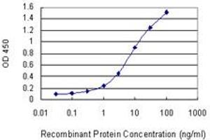 Detection limit for recombinant GST tagged FLI1 is 0. (FLI1 antibody  (AA 1-452))
