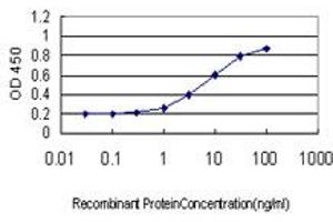 Detection limit for recombinant GST tagged SMC6L1 is approximately 0. (SMC6 antibody  (AA 1-110))