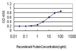 Detection limit for recombinant GST tagged SMC6L1 is approximately 0. (SMC6 antibody  (AA 1-110))