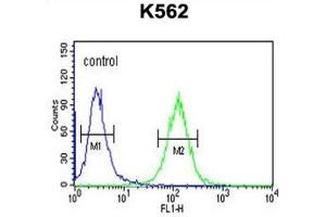 Flow Cytometry (FACS) image for anti-Reticulon 4 Receptor-Like 1 (RTN4RL1) antibody (ABIN3002287) (RTN4RL1 antibody)