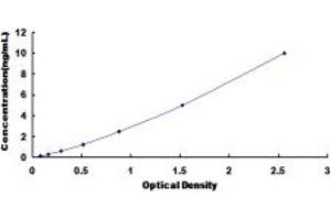 NR5A2 + LRH1 ELISA Kit