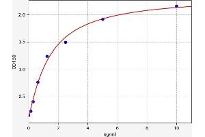 Typical standard curve (TRKB ELISA Kit)