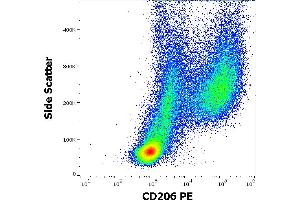 Flow cytometry surface staining pattern of human stimulated (GM-CSF + IL-4) peripheral blood mononuclear cells stained using anti-human CD206 (15-2) PE antibody (10 μL reagent per milion cells in 100 μL of cell suspension). (Macrophage Mannose Receptor 1 antibody  (PE))