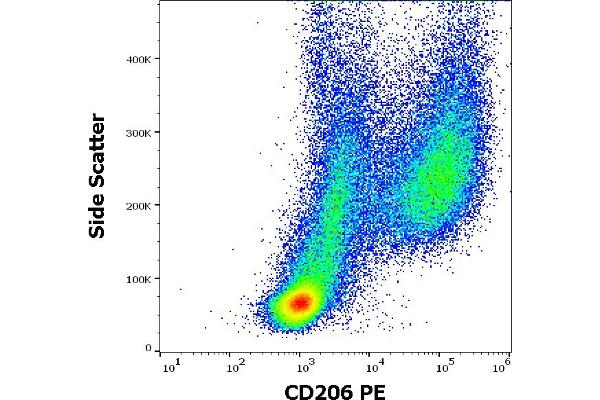 Macrophage Mannose Receptor 1 antibody  (PE)