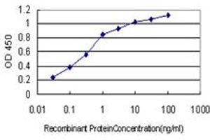 Detection limit for recombinant GST tagged AHNAK is approximately 0. (AHNAK antibody  (AA 1-100))