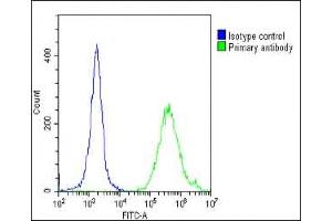 Overlay histogram showing Hela cells stained with (ABIN652044 and ABIN2840518)(green line). (PPARG antibody  (N-Term))