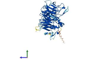 Protein Structure (PS) image for Protein Phosphatase 2, Regulatory Subunit B, beta (PPP2R2B) (AA 1-443) protein (His tag) (ABIN7558147)