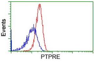 Image no. 2 for anti-Protein tyrosine Phosphatase, Receptor Type, E (PTPRE) antibody (ABIN1500507) (PTPRE antibody)