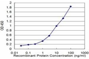 Detection limit for recombinant GST tagged CNR1 is approximately 0. (CNR1 antibody  (AA 1-110))