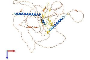 AlphaFold protein structure predicition of Mouse Recombinant D7Ertd443e Protein, UniprotID D2J0Y4 (D7Ertd443e Protein (AA 1-644) (His tag))