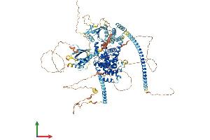 AlphaFold protein structure predicition of Human Recombinant TBC1D1 Protein, UniprotID Q86TI0