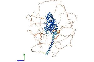 AlphaFold protein structure predicition of Human Recombinant GNAS Protein, UniprotID Q5JWF2