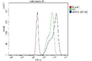 Flow Cytometry analysis of CACO-2 cells using anti-MT2-MMP/MMP15 antibody (ABIN7599965).