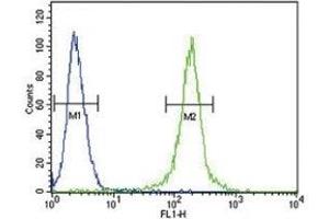 AMH antibody flow cytometric analysis of 293 cells (green) (AMH antibody  (AA 424-451))