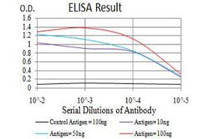 Black line: Control Antigen (100 ng), Purple line: Antigen(10 ng), Blue line: Antigen (50 ng), Red line: Antigen (100 ng), (DDX39B antibody  (AA 1-250))