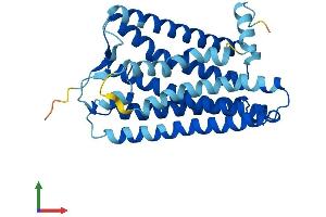 AlphaFold protein structure predicition of Human Recombinant OR14A16 Protein, UniprotID Q8NHC5 (OR14A16 Protein (AA 1-309) (His tag))