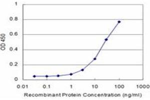 Detection limit for recombinant GST tagged PRDM1 is approximately 3ng/ml as a capture antibody. (PRDM1 antibody  (AA 1-109))