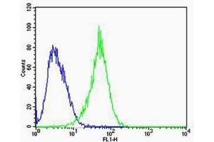 Flow cytometric analysis of U-87 MG cells using RAC1(green, Cat(ABIN6242819 and ABIN6577074)) compared to an isotype control of mouse IgG2b(blue). (RAC1 antibody)