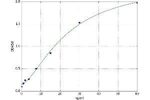 Insulin Receptor beta (ISR-beta) ELISA Kit