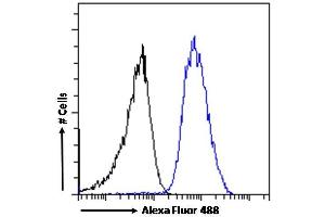 (ABIN185395) Flow cytometric analysis of paraformaldehyde fixed A549 cells (blue line), permeabilized with 0. (Arrestin 3 antibody  (Internal Region))