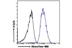 (ABIN185395) Flow cytometric analysis of paraformaldehyde fixed A549 cells (blue line), permeabilized with 0.