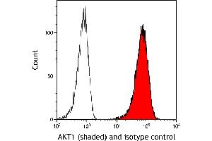 Flow Cytometry (FACS) image for anti-V-Akt Murine Thymoma Viral Oncogene Homolog 1 (AKT1) (AA 100-150) antibody (ABIN7795633) (Recombinant AKT1 antibody  (AA 100-150))