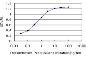 Detection limit for recombinant GST tagged SPRR3 is approximately 0. (SPRR3 antibody  (AA 1-161))